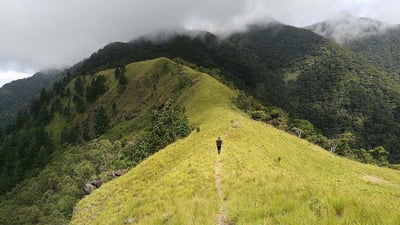 Wangedi Kanda