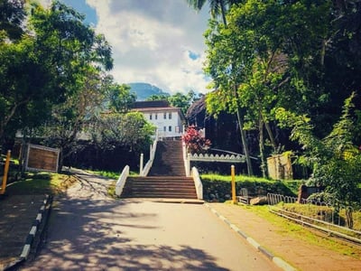 Aluviharaya