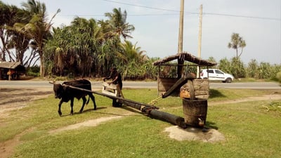 Sekkuwa