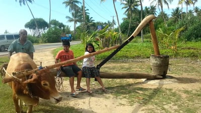 Sekkuwa