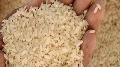 Keeri Samba Rice