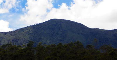 Thotupola Kanda