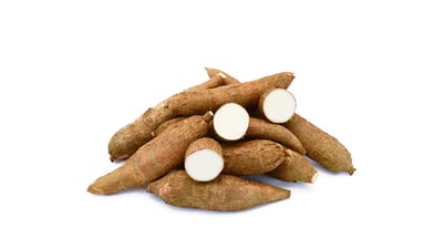 Manihot esculenta