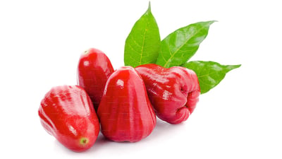 Jambu