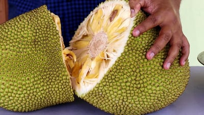 Jackfruit