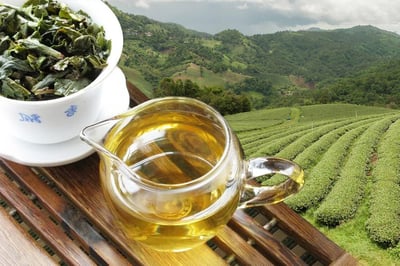 Oolong Tea