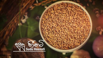 Sudu Heeneti