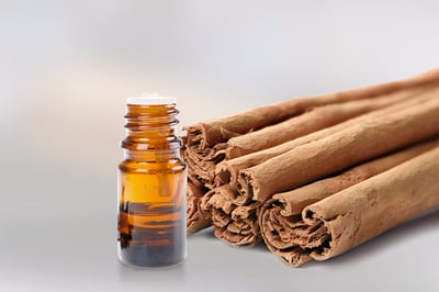 Ceylon Cinnamon Bark Oil