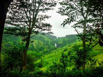 Alakola Falls