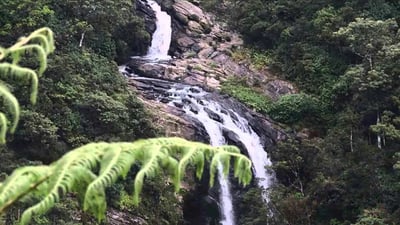 Elgin Falls