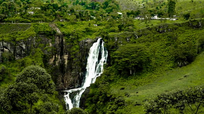 Devon Falls