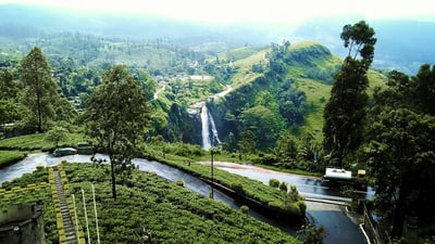 Devon Falls