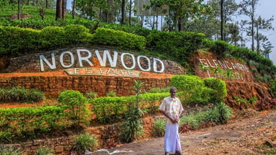 Norwood