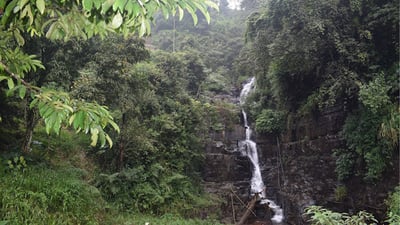 Hellboda Ella Falls