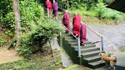 Bodhinagala Forest Reserve