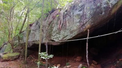 Bodhinagala Forest Reserve
