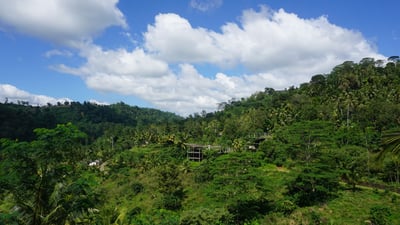 Deniyaya City