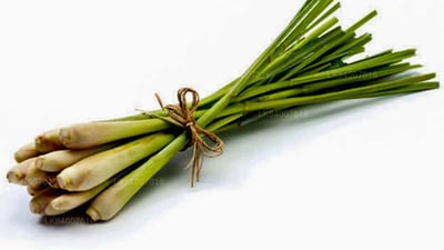 Lemongrass