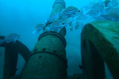 Underwater Museum