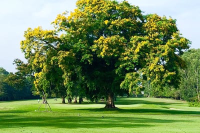 Royal Colombo Golf Club