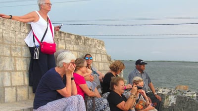 Senior Citizen Tours