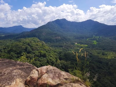 Pahangala