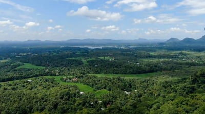 Pahangala