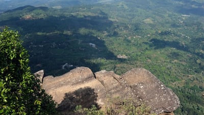Peacock Hill