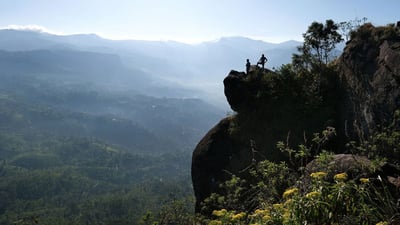 Peacock Hill