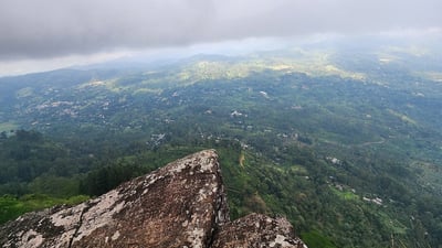 Peacock Hill