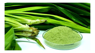 Rampe