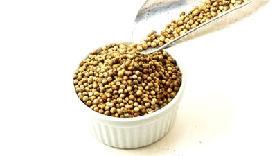 Coriander