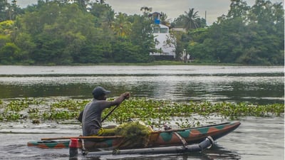 Bolgoda Lake