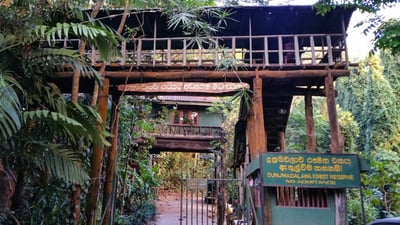Dunumadalawa Forest
