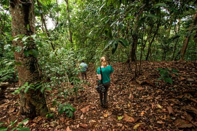 Dunumadalawa Forest
