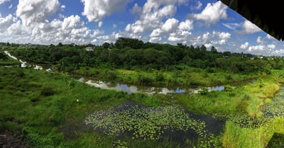 Diyasaru Park