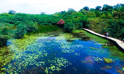 Diyasaru Park