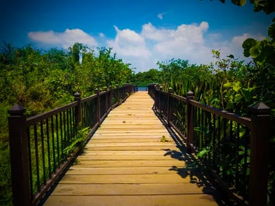 Diyasaru Park