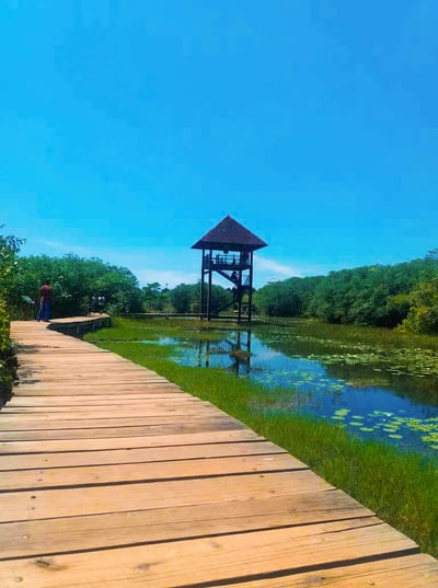 Diyasaru Park