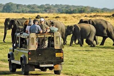 Game Drives