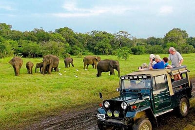 Game Drives