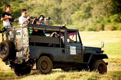 Game Drives