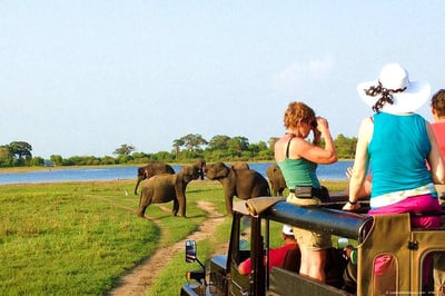 Game Drives