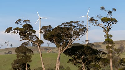 Windmills in Ambewela