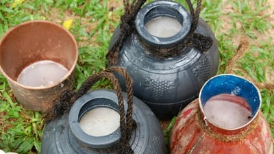 Coconut Toddy