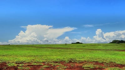 Ussangoda Plains