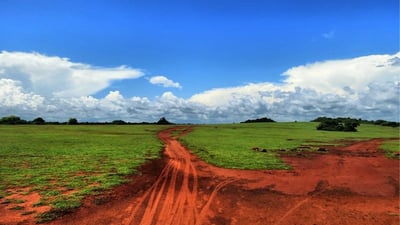 Ussangoda Plains
