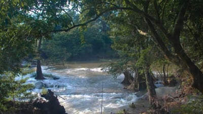 Kumbukkan Oya