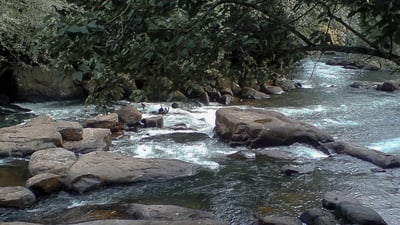 Walawe River