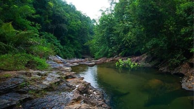 Walawe River